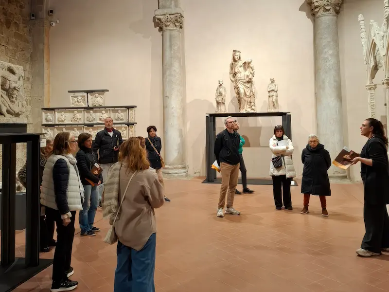 Visite guidate del Museo di San Matteo